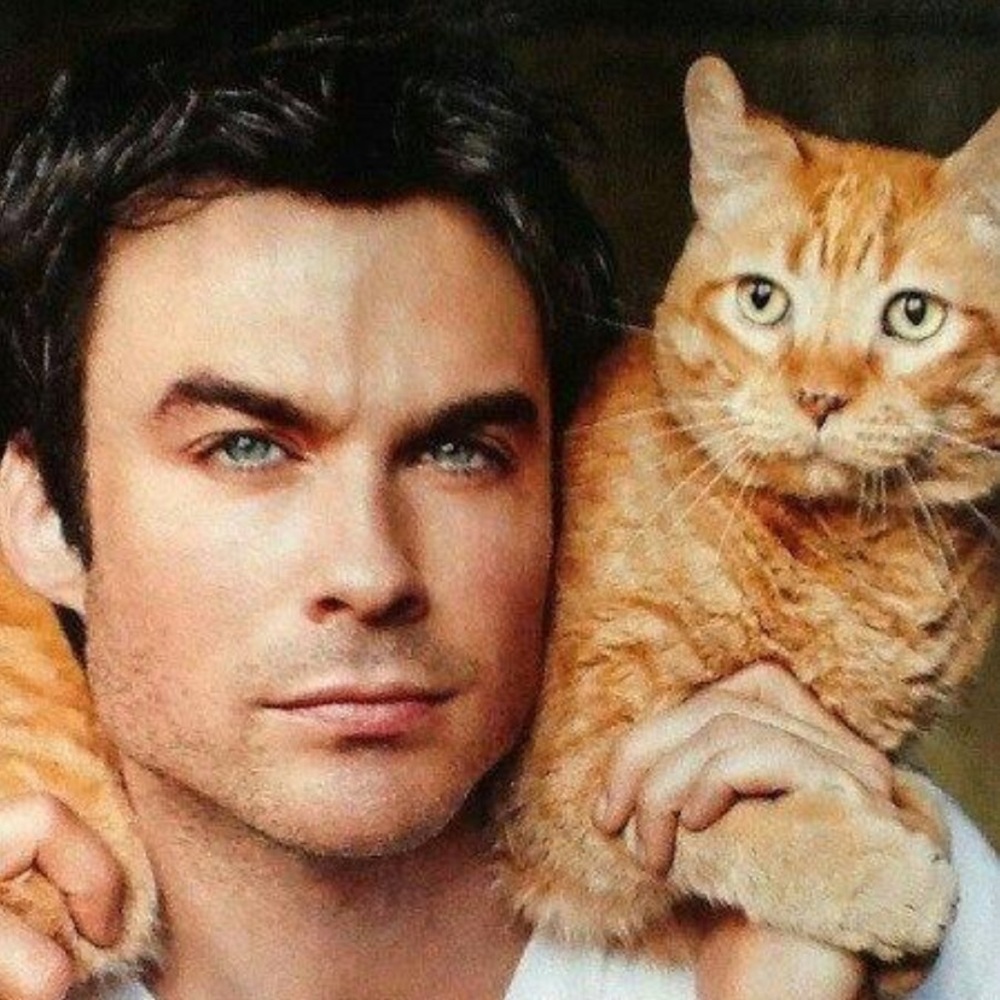 Meet your Posher, Kylin